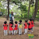 숲속체험마을협동조합 이미지