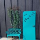 십칠다시이십 이미지