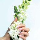 NAIL