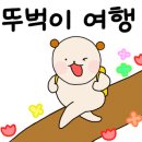 심명 이미지