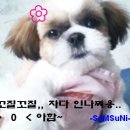 삼순e
