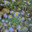 통골농장 이미지