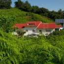 황제농장 이미지