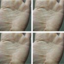 우후죽순 이미지