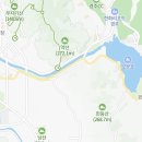 수아리아리애견 이미지