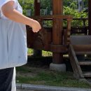 데일리가방 여름가방 추천 BOBO 보보가방 언박싱 후기