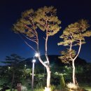 대영힐스CC 이미지