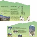 충남 금산여행 가족여행하기 좋은 곳 인삼체험하기