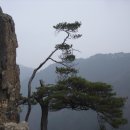 입석 이미지