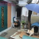 완산-161 이미지