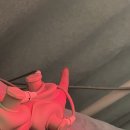 연세다엘마취통증의학과내과의원 이미지