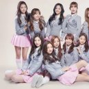 픽미픽미 이미지