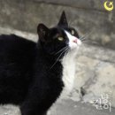 (주)가온앤 이미지