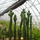 장연농장 이미지