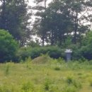 황윤길 묘 이미지