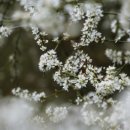 포낙보청기 양천목동센터 이미지