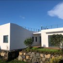 바이신산 이미지