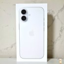 화이트애플 | 아이폰17 일반 화이트 선물받은 후기 (ft.갤럭시 애플 사진 촬영 비교)