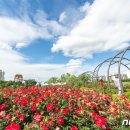 구민체육광장 화장실 이미지