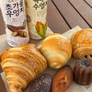 한솥도시락(경북대정문점) | 대구 빵지순례 경북대 핫플 낙트리, 웨이팅 감수해도 좋을 베이커리 맛집
