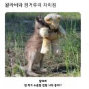 지기