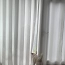 펄베이풀빌라