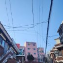 서울본동초등학교 이미지