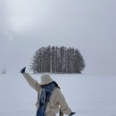 홋카이도 | 일본 홋카이도 패키지여행, 삿포로 여행 후기!