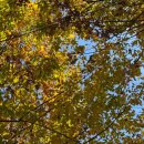 부광농장 이미지