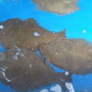 지에스(GS)25진동에이스점 이미지