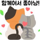 시립배곧한라1차어린이집 이미지
