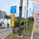 충북 보은군 대추축제장 여행. 이미지