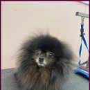 이쁘개몽 이미지