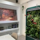 둔산중로-23 이미지