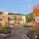 대장경기록문화축제 | 🌼 천년의 기록, 꽃길이 되다 2025 합천 대장경 기록문화축제