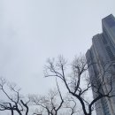 미남교차로 이미지