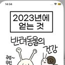 밥푸라 이미지