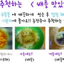 서나라농장 Daum카페