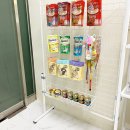 카밍캣 고양이미용 이미지