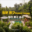 호텔림 | 발리 짱구 숙소 추천 수영장 이쁜 림분 짱구 호텔 가성비 굿