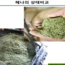 미용실진 이미지