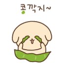 혁신애견미용 이미지