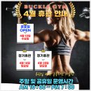 줌바앤핏 | 크리스마스에 줌바 수업? 동탄역 웰니스앤핏에서 색다른 운동 경험