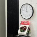 르끄 | 주간 일기 챌린지 21 :: 알찬 휴직 생활, 군산 친구들 그리고 일상