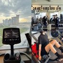 휘트니스 베이직 | 송절동헬스장 청주 피티 가격 베이직휘트니스 pt 2회차 대만족