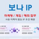 보나아이피 네이버블로그