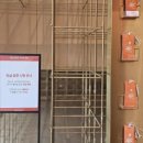 시크릿하우스 | [행사] &#34;설화수 시크릿하우스&#34; 9월 팝업스토어 후기 +선물 증정