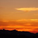 이정하순대 | 말출 전 마지막 휴가