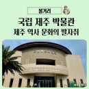 국립 제주 박물관 탐방 정보와 역사 문화 이야기