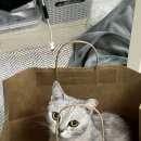 진아소프트 | 베트남 호치민